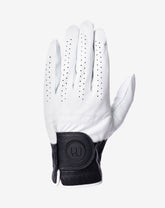Premier 2.0 Golf Glove