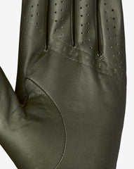 Premier 2.0 Golf Glove