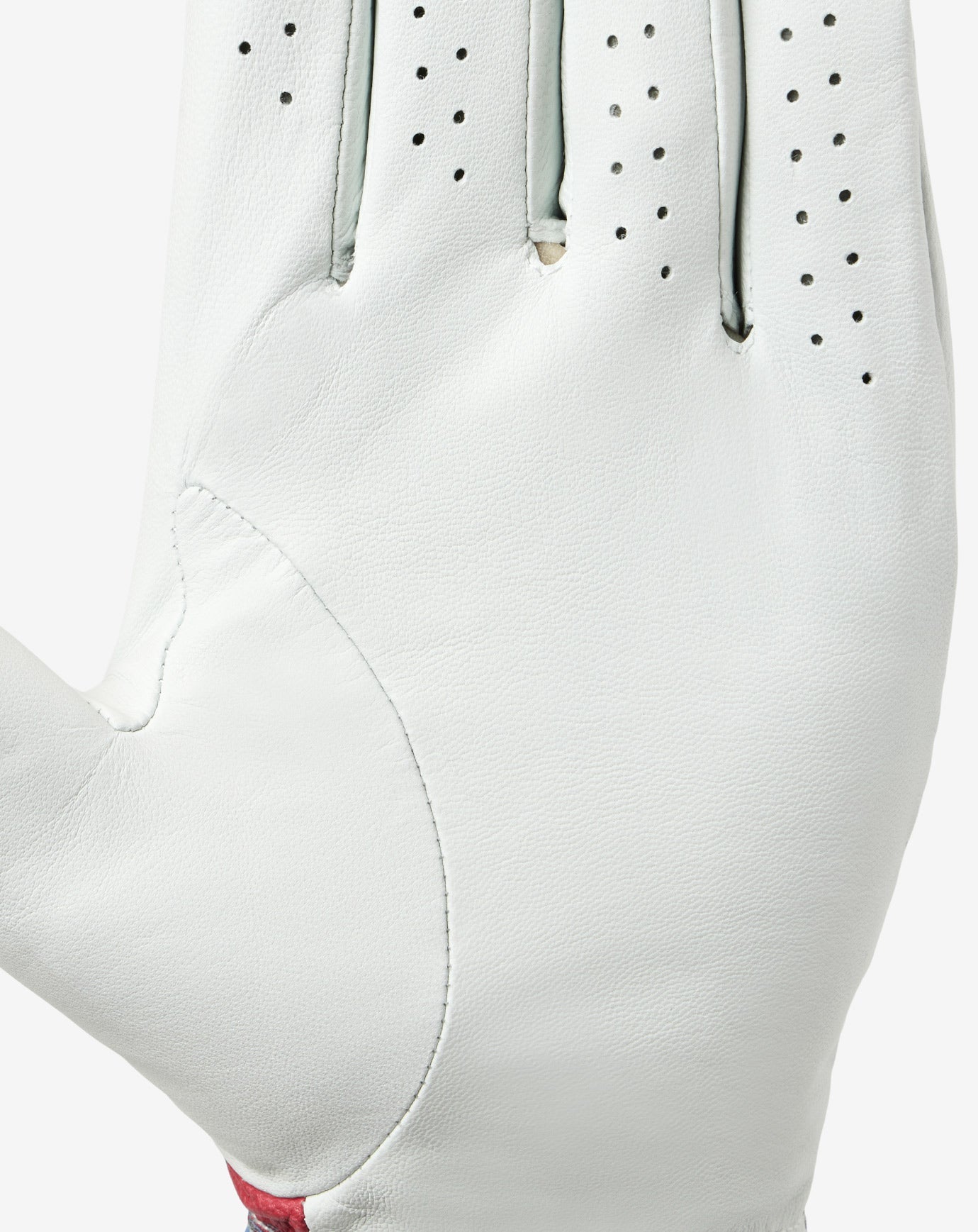 Freedom Feast Golf Glove