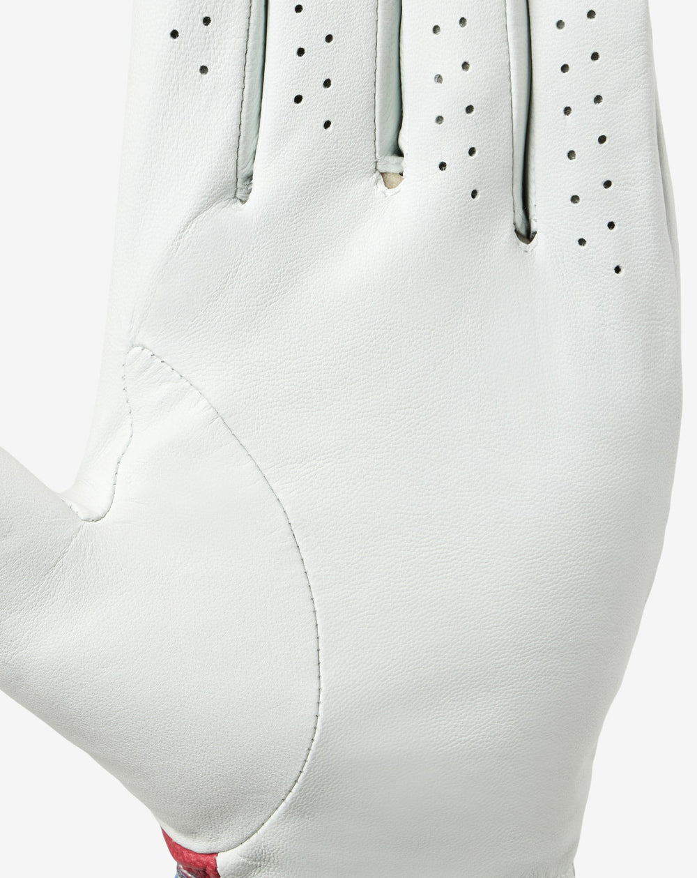 Freedom Feast Golf Glove