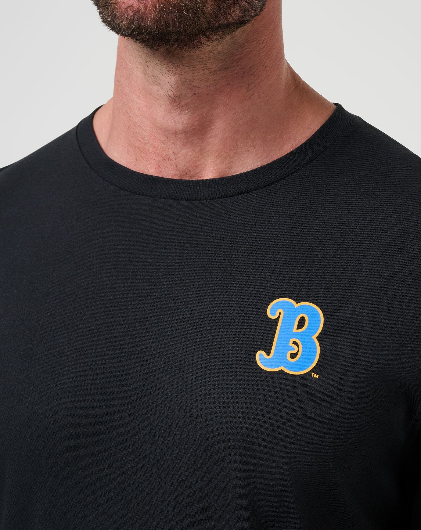 UCLA Friendly Rivalry Tee